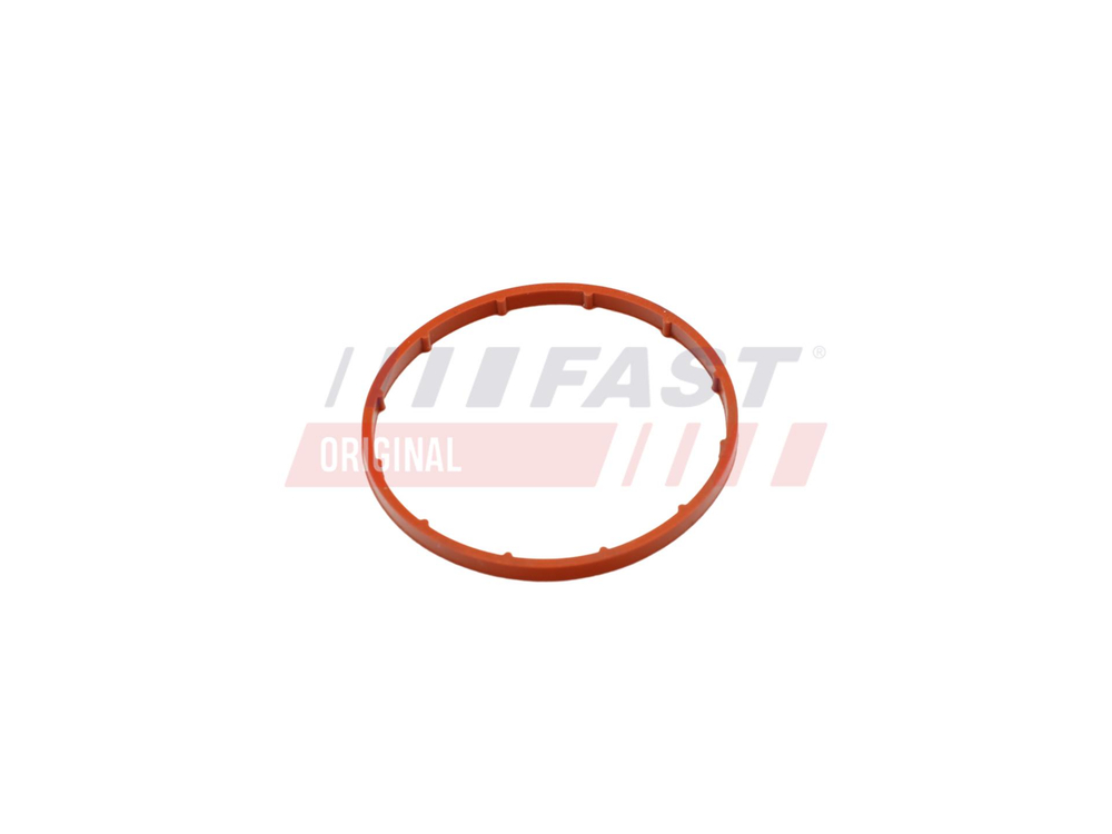 FAST - FT50701-FAT - Gasket, vacuum pump