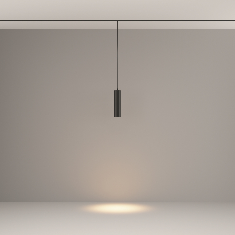 Магнитный трековый светильник Maytoni Focus LED TR041-2-12W3K-B
