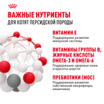 Royal Canin Persian Kitten Персиан Киттен Корм сухой для котят персидской породы до 12 месяцев 2кг