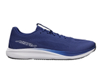 Кроссовки мужские ALTRA ESCALANTE 5