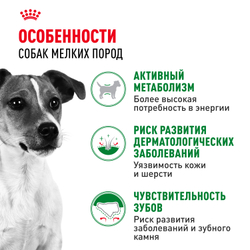 Royal Canin Mini Adult Корм сухой для взрослых собак мелких размеров от 10 месяцев - 4 кг