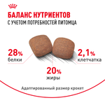 Royal Canin Giant Adult Джайнт Эдалт Корм сухой для взрослых собак очень крупных пород от 18 месяцев 15кг