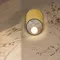Настенный светильник Messier 4595-1W Favourite