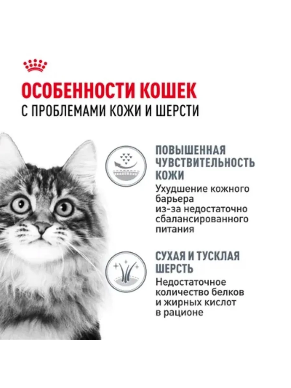 Hair&Skin Care Корм для кошек Здоровая кожа и шерсть 2кг