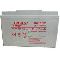 Тяговая аккумуляторная батарея EVEREST TNE 12-125