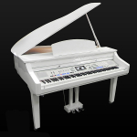 Medeli Grand 1000