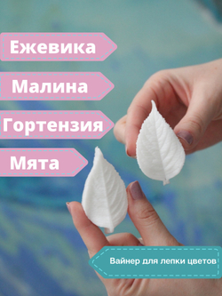 Вайнер лист Ежевики малый 745