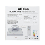 Потолочный светодиодный светильник Citilux NORMA CL749K300