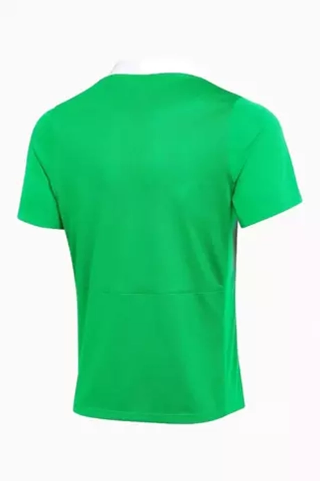 Футболка Nike Dri-FIT Academy Pro 24