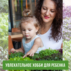 Агровата для выращивания микрозелени набор 10шт / 17*10*1,5 см /субстрат для выращивания микрозелени и растений