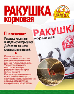 Подкормка для птиц кальций 1кг Ракушка