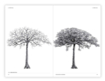 The Architecture of Trees