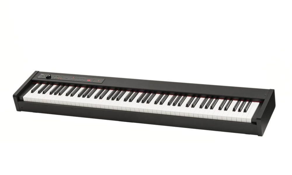 Korg D1