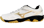 Mizuno Sky Blaster "SlipResistant Durable Low Badminton"