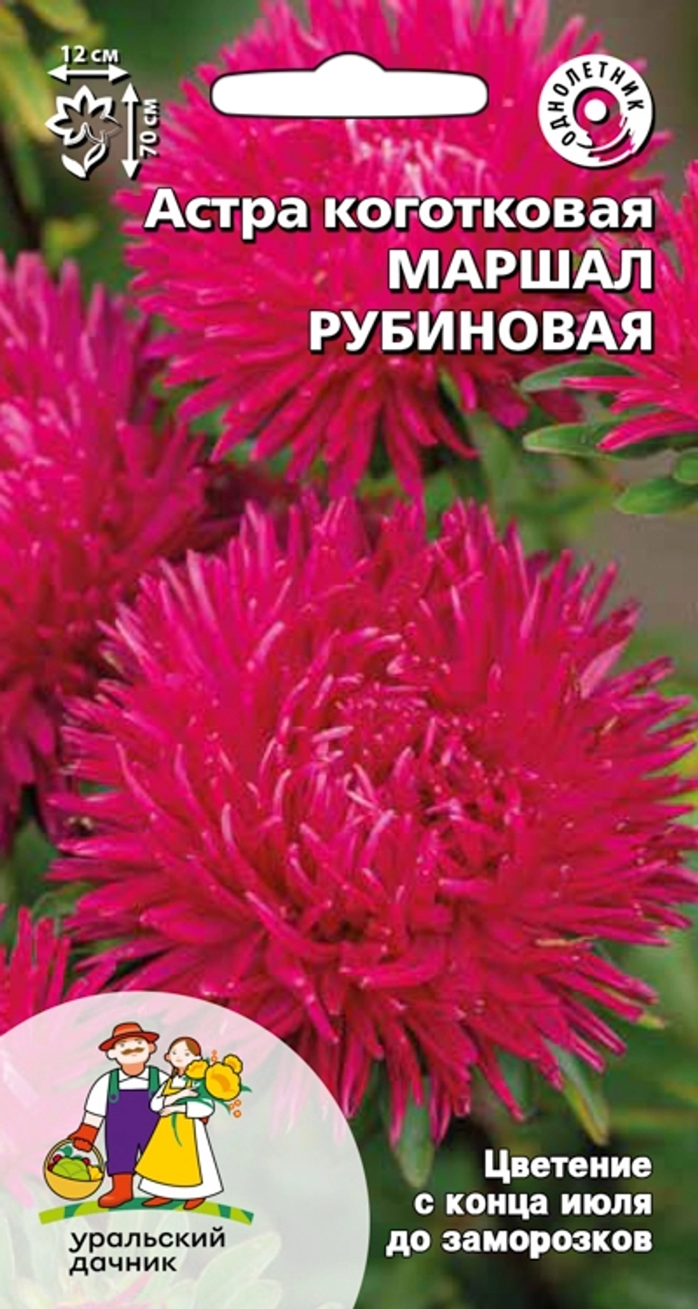 Семена Астра коготковая Маршал рубиновая 0,2гр (УД) Е/П