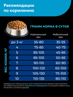 Корм сухой для взрослых кошек породы Корниш-рекс, с лососем, 400 гр, QUATTRO