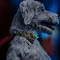 Статуэтка Супермен и Крипто 1:10/ Superman &amp; Krypto Legacy Iron Studios