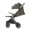 Прогулочная коляска Espiro Flame TAupe Splendor (09)