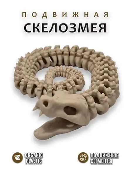 Скелет Змеи