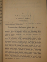 "Аквариум любителя. Подробное описание флоры и фауны аквариума, устройство аквариума, уход за ним и пр.". Н.Ф.Золотницкий. 1890г.
