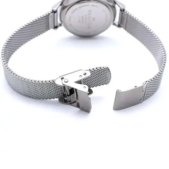 Наручные часы Skagen SKW2307