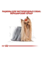 ROYAL CANIN Yorkshire Terrier Adult (Роял Канин Йоркширский терьер) корм сухой для собак15 кг