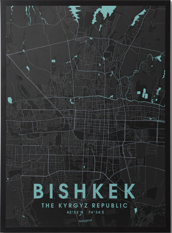 Постер Bishkek city map [black]