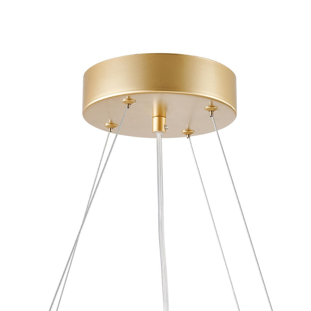 Подвесная светодиодная люстра Favourite Asterismo 4448-6P