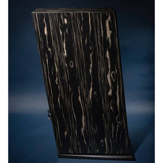 Davis Acoustics MV One Master Ebony