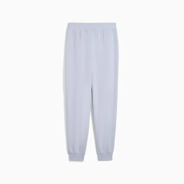 Брюки спортивные женские PUMA ESS Small No. 1 Logo Comfort High-Waist Sweatpants TR cl (s)