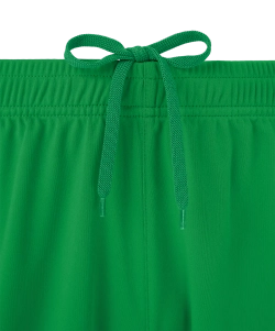 Шорты игровые Jogel DIVISION PerFormDRY Union Shorts, зеленый 72