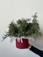 Коробка из нобилиса