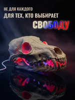 Череп волка. Анатомическая реплика в натуральную величину из PLA-пластика