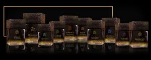 Guru Perfumes Vision