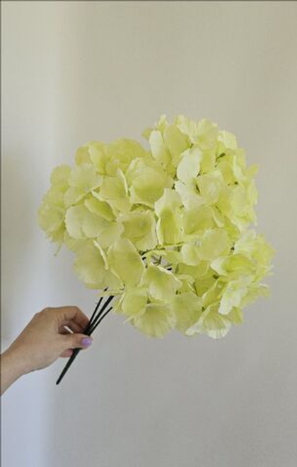 Гортензия / Арт 2608