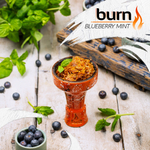 Burn - Blueberry Mint (200g)