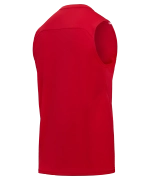 Майка тренировочная DIVISION PerFormDRY Training Sleeveless, красный