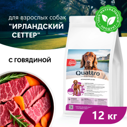 Корм сухой для взрослых собак породы Ирландский сеттер, премиум полнорационный комплекс, с говядиной, 12 кг, QUATTRO