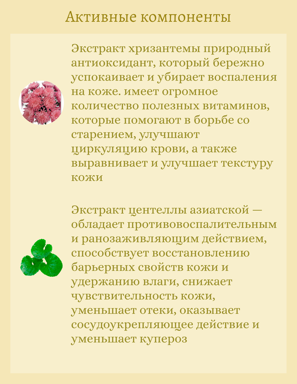 Питательный крем для рук с экстрактом хризантемы 100 ml Jigott Secret Garden Chrysantheum Hand Cream
