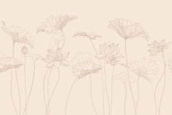 Коллекция Line art