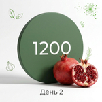 День 2