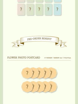 Альбом WJSN - Neverland 8th Mini Album 3 Version SET