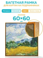 Металлическая багетная рамка 60х60 см