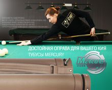 Тубус на 1 кий Меркури-PRO без кармана (темно-бежевый)
