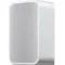 Bluesound Pulse Flex 2i White