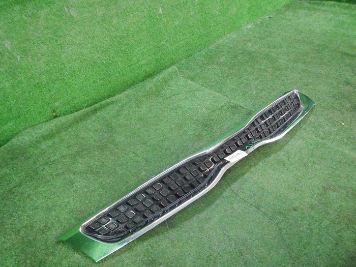 DSCN5557.JPG
