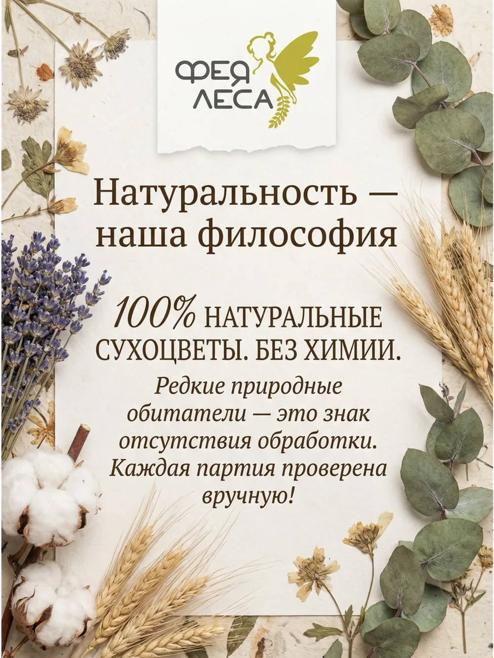 Цвет липы с листом для чая
