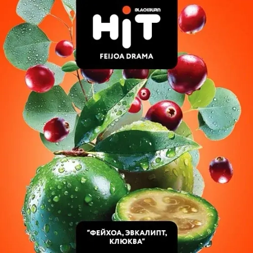 BLACKBURN HiT 30г. Feijoa Drama / Фейхоа, эвкалипт, клюква (М)