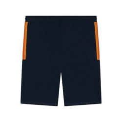 Мужские теннисные шорты Roland Garros Color Lines - navy blue