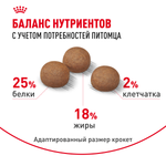 Royal Canin Medium Digestive Care Медиум Дайджестив кэа Корм сухой для взрослых собак средних размеров с чувствительным пищеварением 3кг